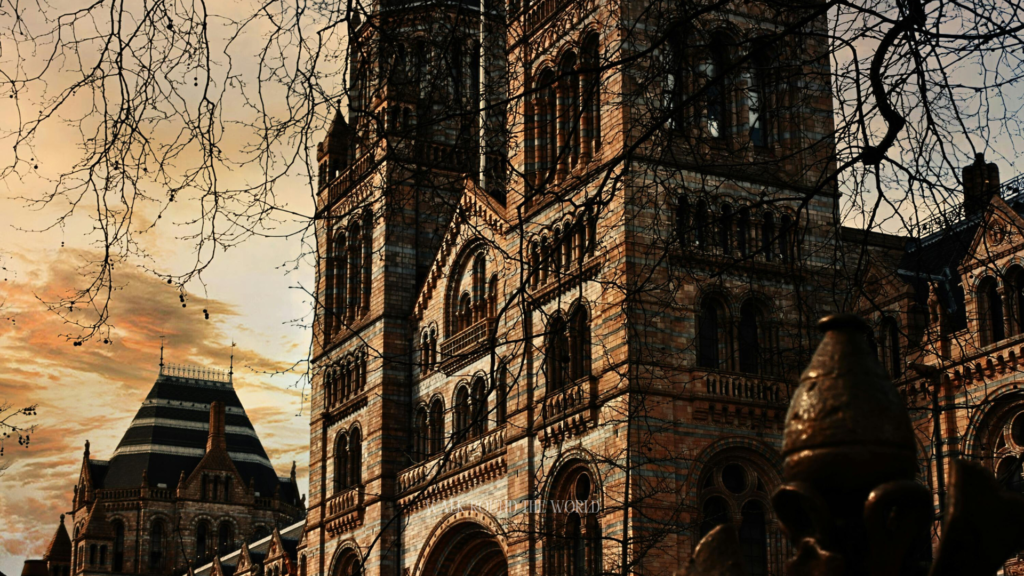 Natural History Museum London exterior in moody evening light