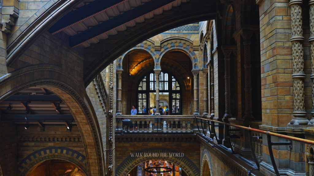 Minerals and gemstones gallery Natural History Museum London