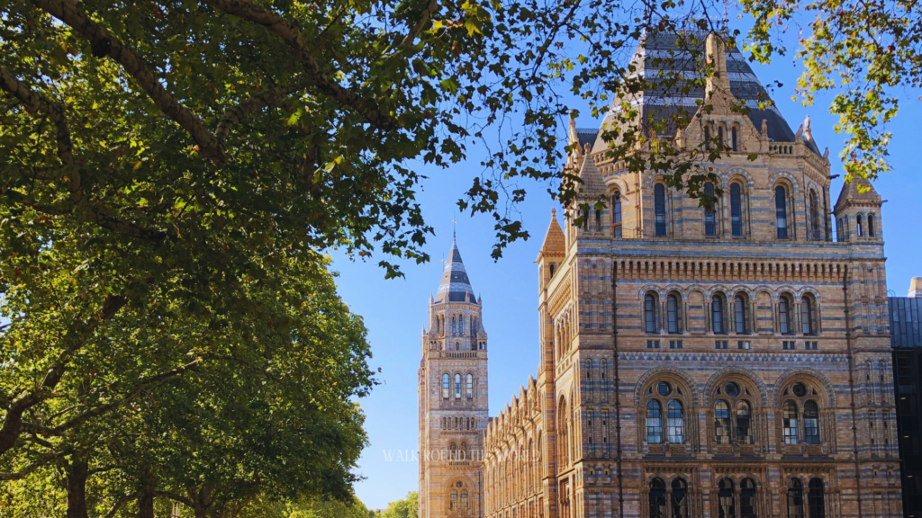 Museum tower rising above trees in South Kensington