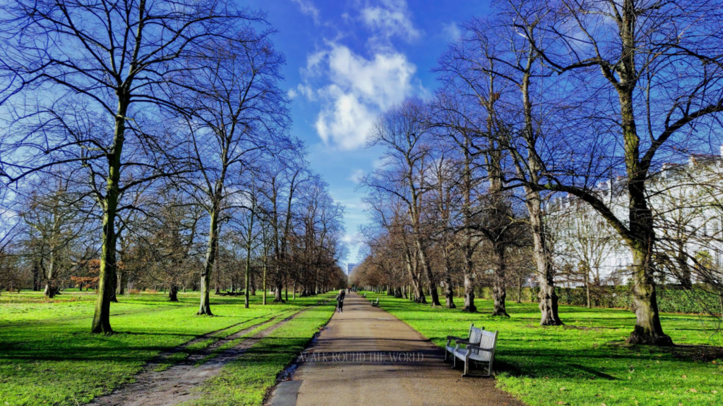 Kensington Gardens London in winter with bare trees and peaceful park landscape