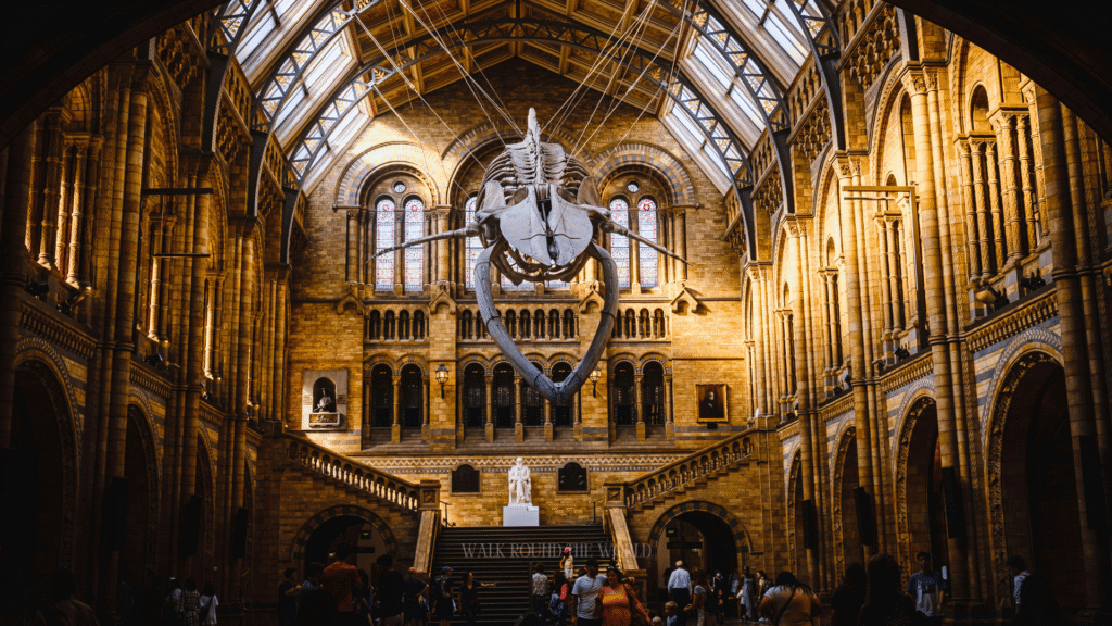 Natural History Museum in South Kensington London during summer