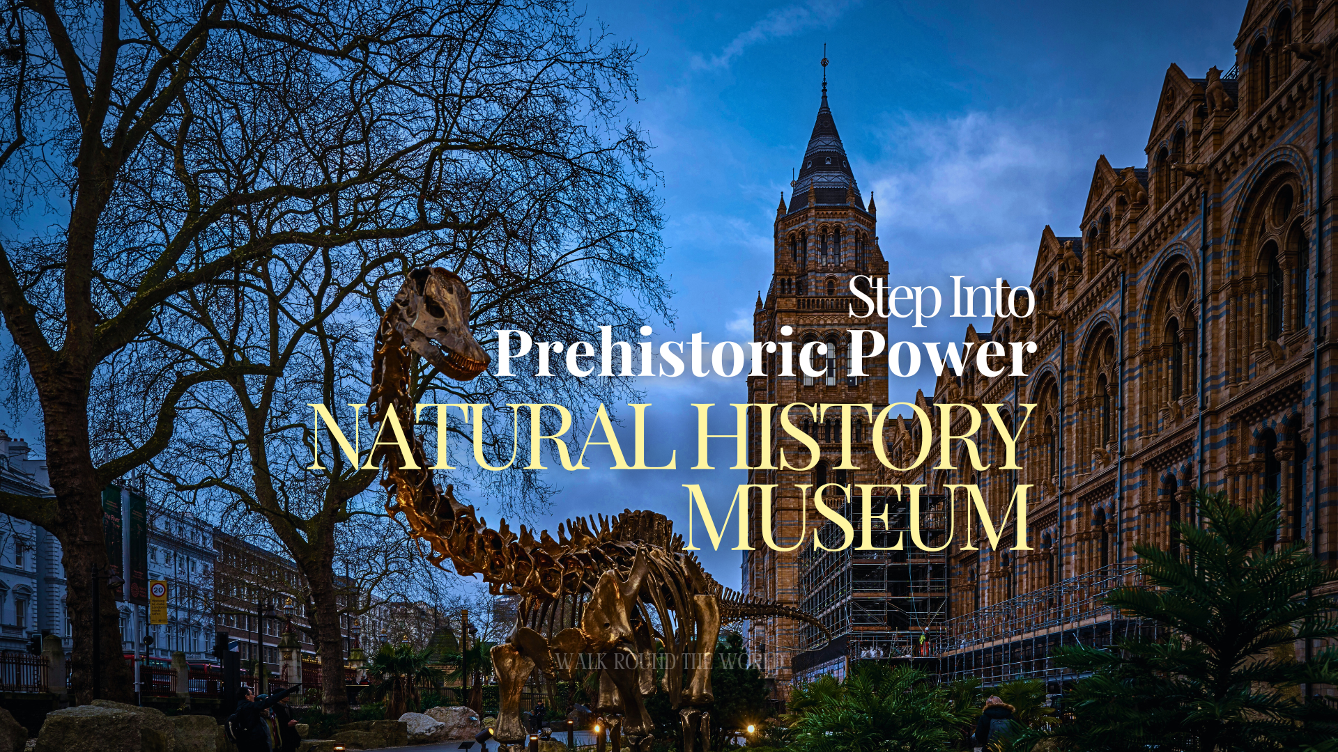 Natural History Museum London – Where the World Hides Its Oldest Secrets