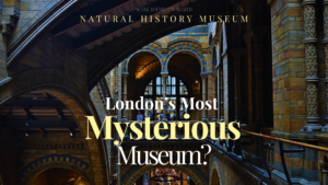 Interior of the Natural History Museum London showcasing its grand arches and mysterious atmosphere