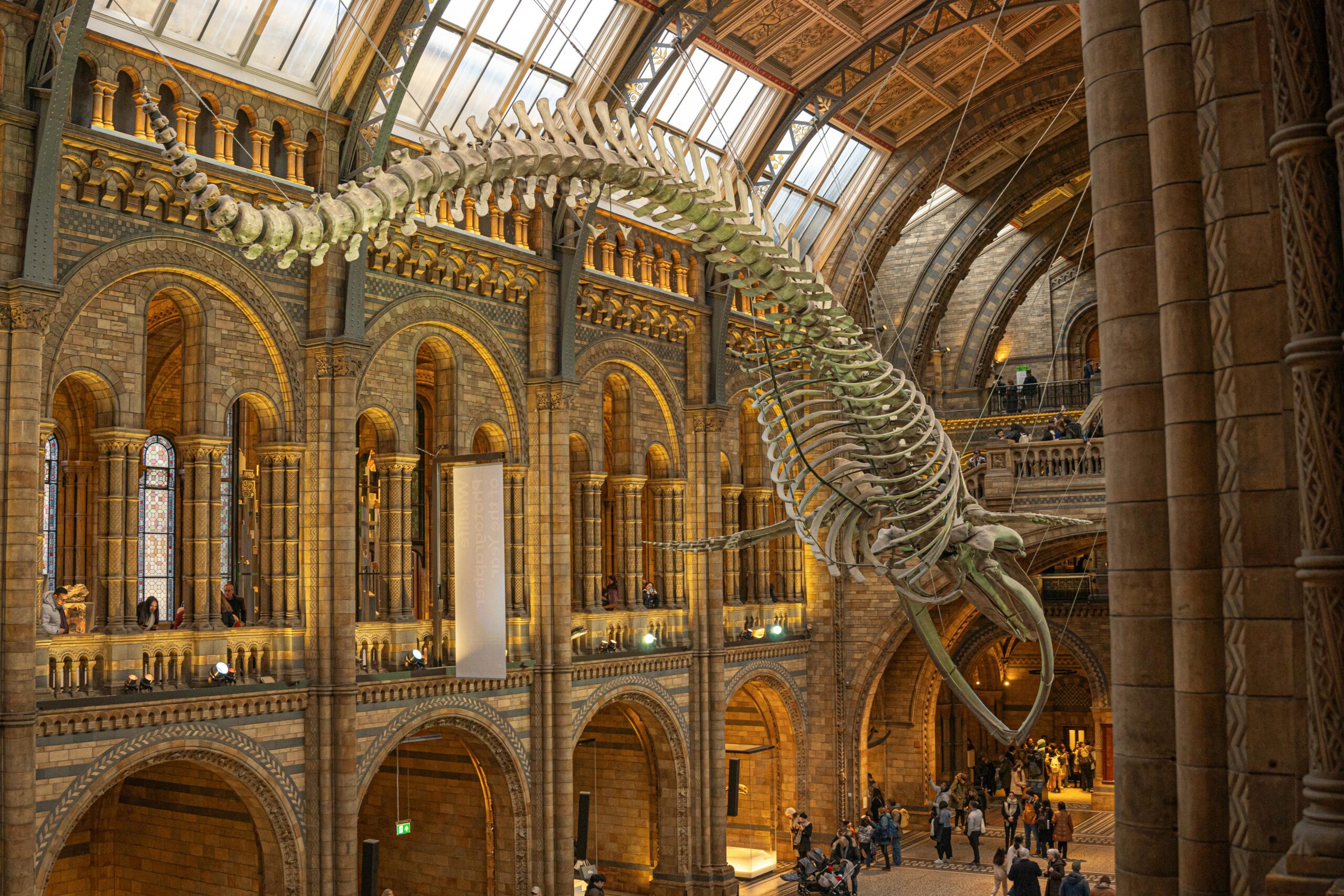 Natural History Museum London- Where World Hides Its Oldest Secrets